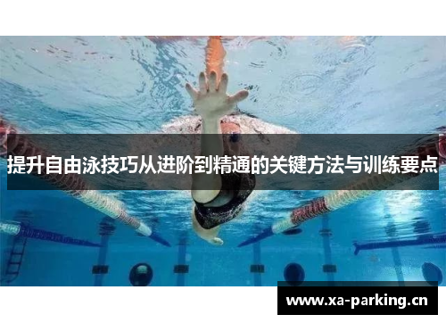 提升自由泳技巧从进阶到精通的关键方法与训练要点
