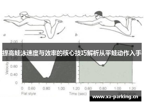 提高蛙泳速度与效率的核心技巧解析从平蛙动作入手