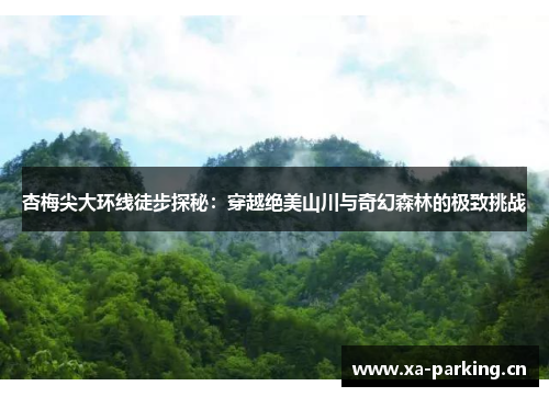 杏梅尖大环线徒步探秘：穿越绝美山川与奇幻森林的极致挑战