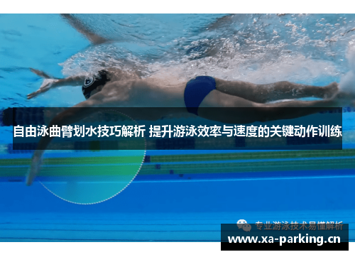 自由泳曲臂划水技巧解析 提升游泳效率与速度的关键动作训练