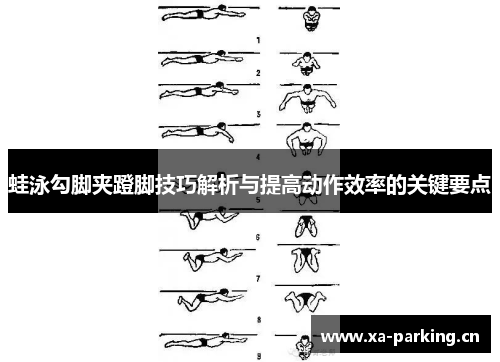 蛙泳勾脚夹蹬脚技巧解析与提高动作效率的关键要点