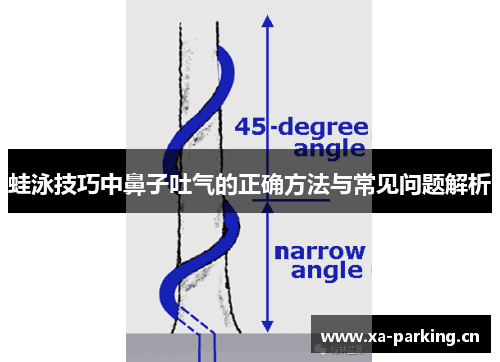 蛙泳技巧中鼻子吐气的正确方法与常见问题解析