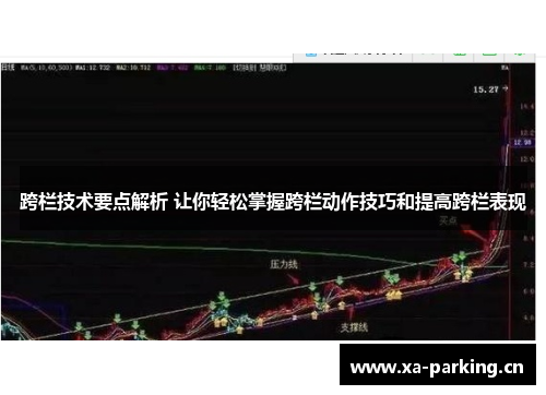跨栏技术要点解析 让你轻松掌握跨栏动作技巧和提高跨栏表现
