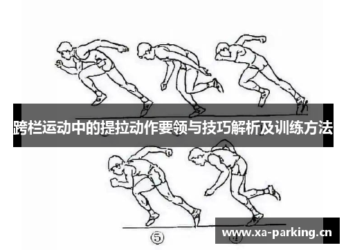 跨栏运动中的提拉动作要领与技巧解析及训练方法