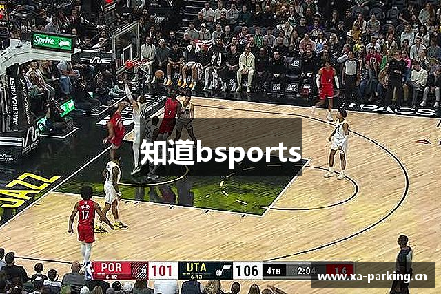 知道bsports